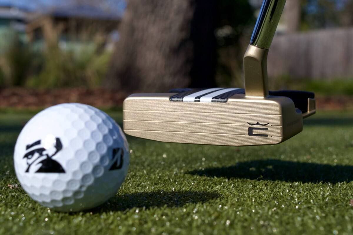 コブラ3DP TOURパターのアドレス時のボールとの関係と見え方