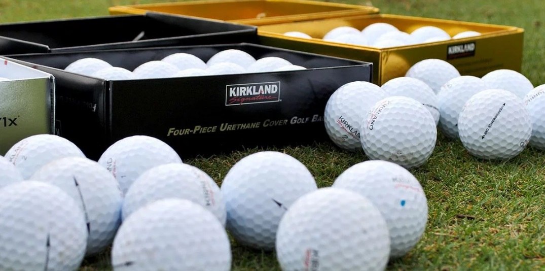 kirkland pro v1
