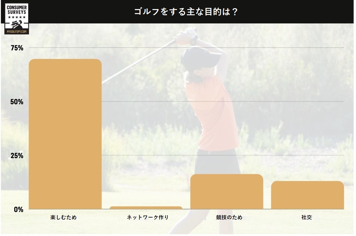 女性,ゴルフ,ゴルファー,フィッティング,ゴルフクラブ,女性用クラブ,レディース