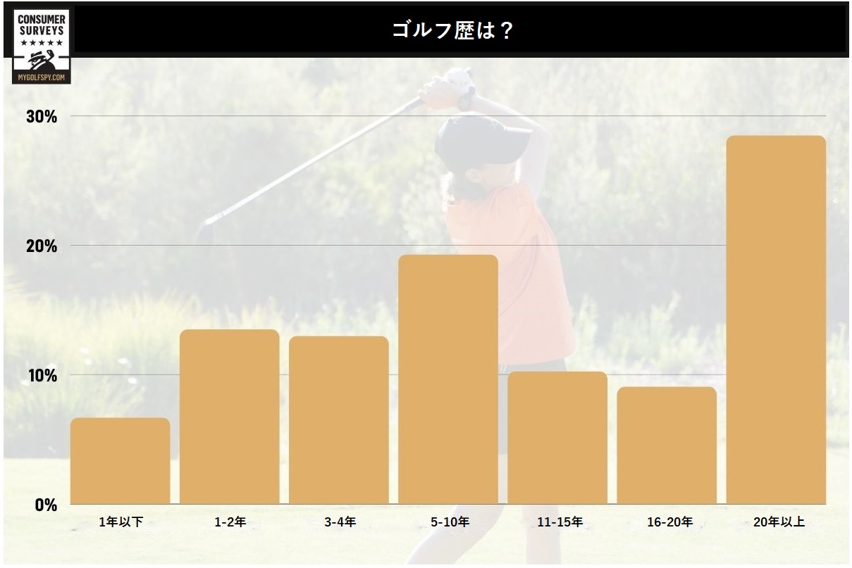 女性,ゴルフ,ゴルファー,フィッティング,ゴルフクラブ,女性用クラブ,レディース