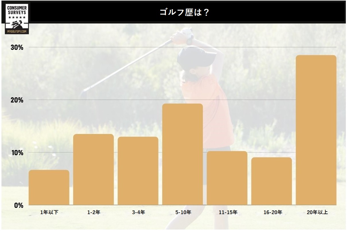 女性,ゴルフ,ゴルファー,フィッティング,ゴルフクラブ,女性用クラブ,レディース