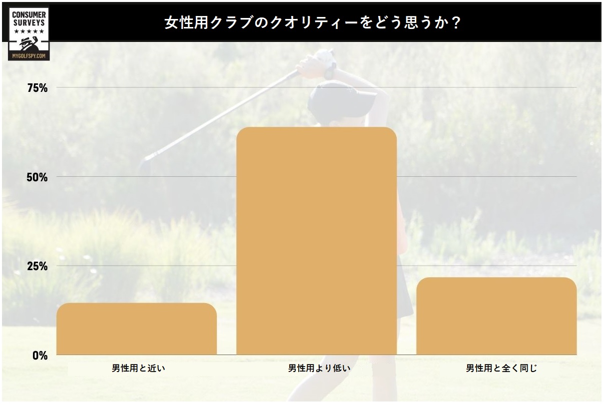 女性,ゴルフ,ゴルファー,フィッティング,ゴルフクラブ,女性用クラブ,レディース