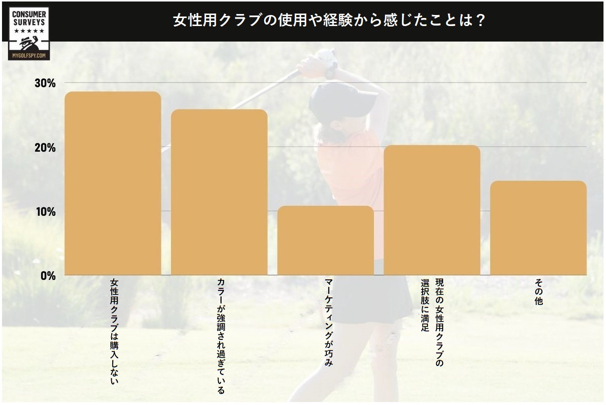 女性,ゴルフ,ゴルファー,フィッティング,ゴルフクラブ,女性用クラブ,レディース