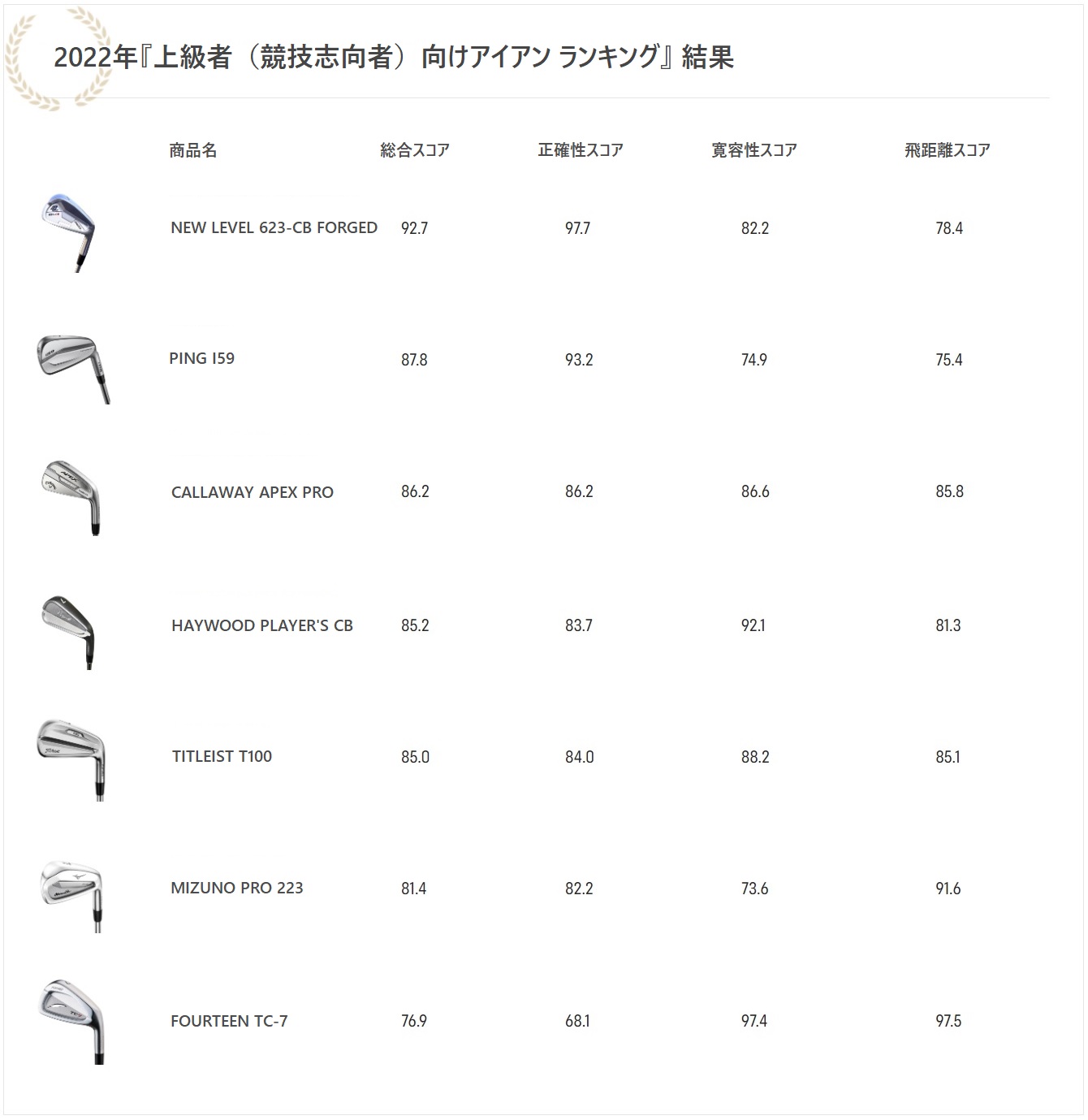 2022年,上級者向け,競技志向者,アイアン,ランキング,評価,ゴルフ,ゴルフクラブ,キャロウェイ,タイトリスト,ミズノ,PING,,