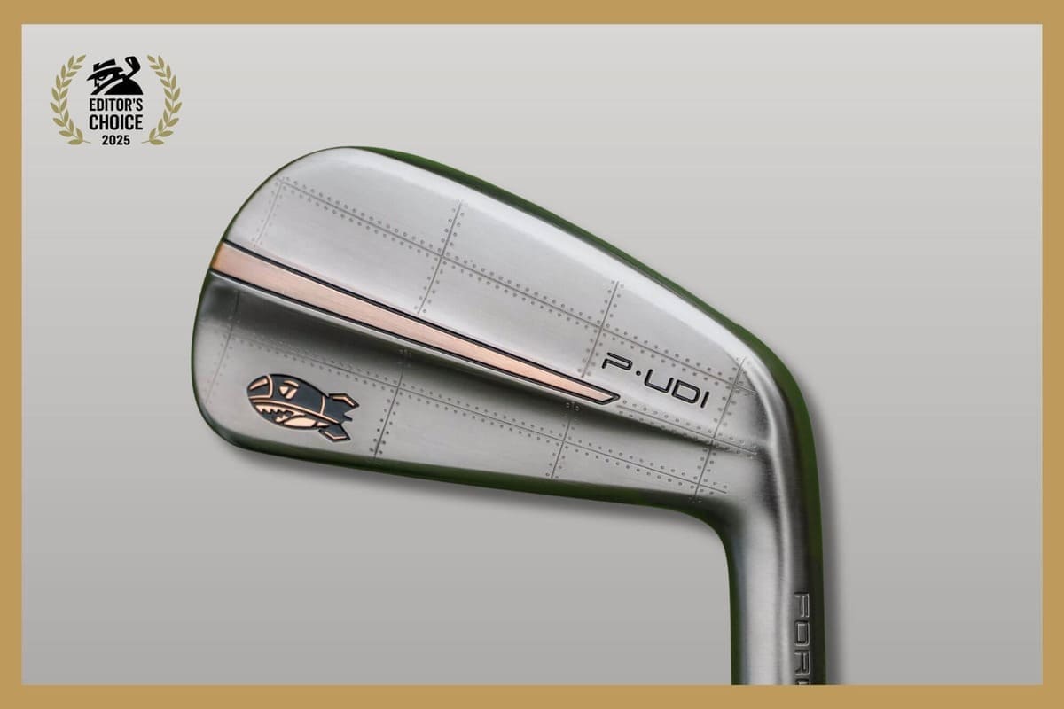 テーラーメイド限定モデル「P-UDI Bomber」ユーティリティアイアンのクラブヘッド、独特のデザインが施された画像