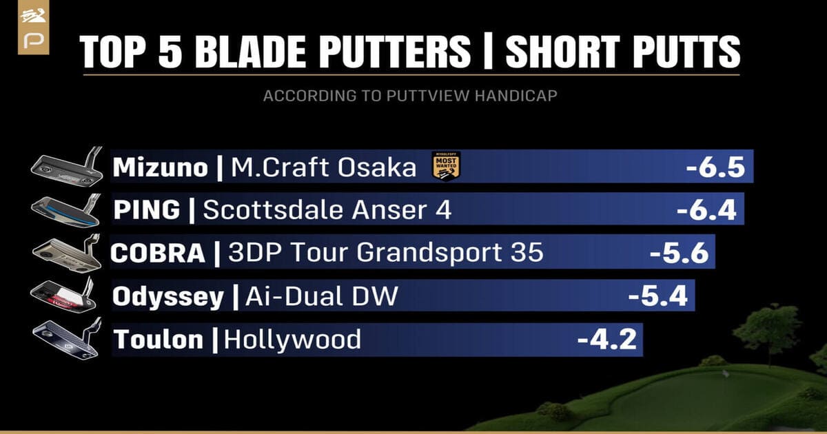 ショートパット向けブレードパターランキング